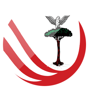 team Carpi
