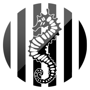 team Cesena